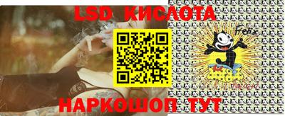 молекула духа Новозыбков