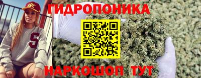 дурь Новодвинск